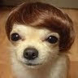 Meet your Posher, Kristen